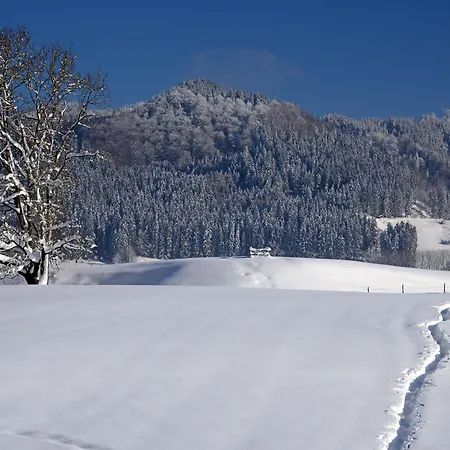 Stayzen Holz & Hirsch Deluxe Hideaway Zentral Mit Parkplatz Apartment Isny im Allgau