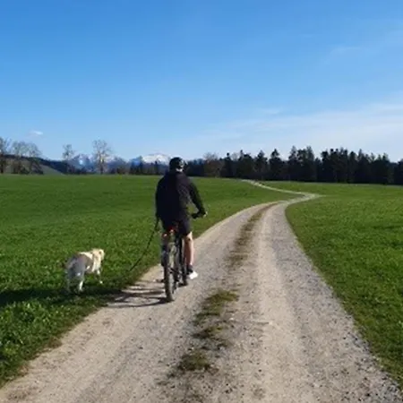 Zen Holz & Hirsch Loft - Parkplatz Und Hund Isny im Allgäu