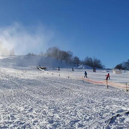 Stayzen Holz & Hirsch Deluxe Hideaway Zentral Mit Parkplatz アパート イスニー・イム・アルゴイ